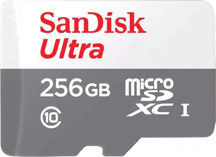 Карта памяти SanDisk Ultra microSDXC SDSQUNR-256G-GN3MN 256GB - фото 1 - id-p220710622