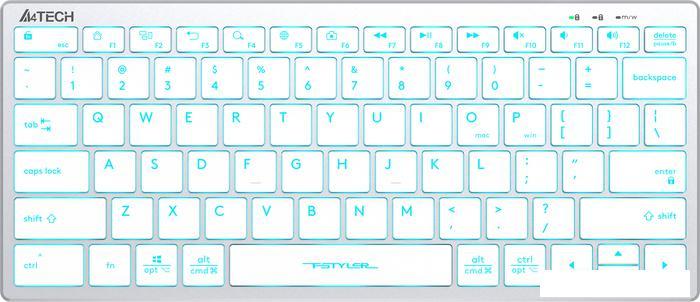 Клавиатура A4Tech Fstyler FX61 (серебристый/белый)