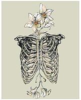 Картина по номерам Скелет и цветы 40 x 50 | Z-AB628-2| SLAVINA