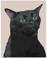 Картина по номерам Мемный котик 40 x 50 | LI-270| SLAVINA
