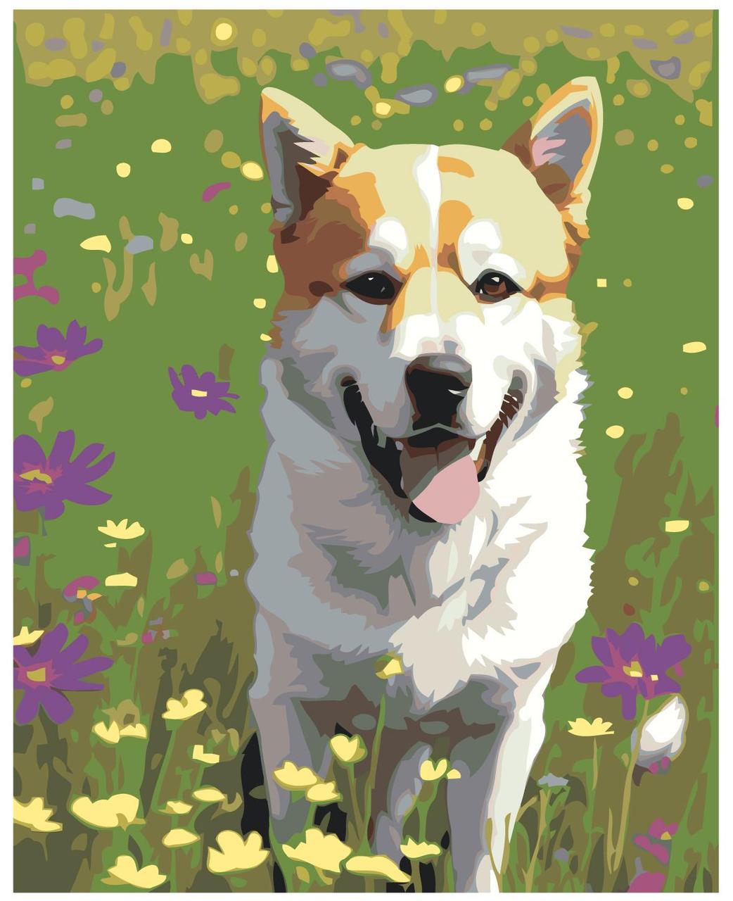 Картина по номерам Собака в поле 40 x 50 | LI-289| SLAVINA - фото 1 - id-p220774166