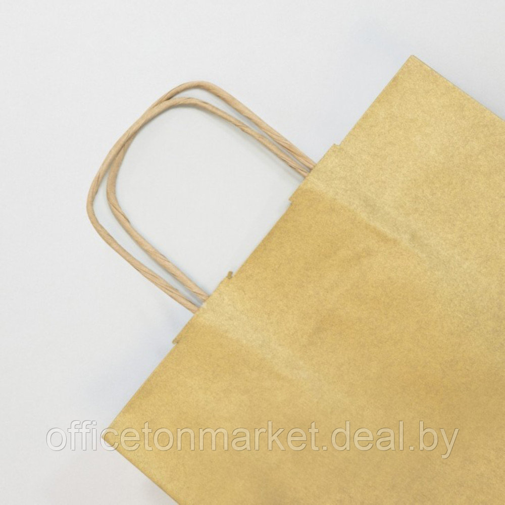 Пакет бумажный подарочный "Gold", 22х10х27 см, 1 шт, коричневый - фото 2 - id-p220606554