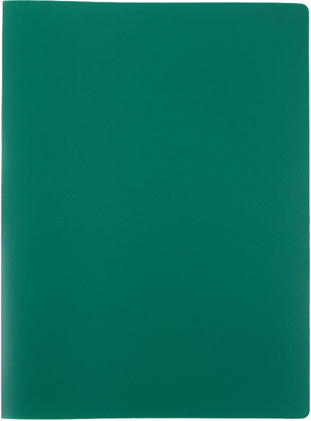Папка пластиковая на 2-х кольцах Staff Manager толщина пластика 0,5 мм, зеленая - фото 3 - id-p220776880