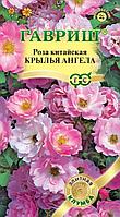 Роза Крылья Ангела 5шт Гавриш