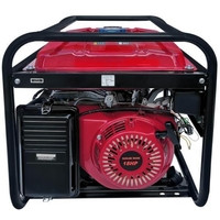 Бензиновый генератор WATT WT-8002 - фото 3 - id-p220795511