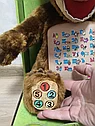 Интерактивная мягкая игрушка "Медведь" из мультика "Маша и Медведь", учим буквы и цифры, 11 функций, арт.G925A, фото 5