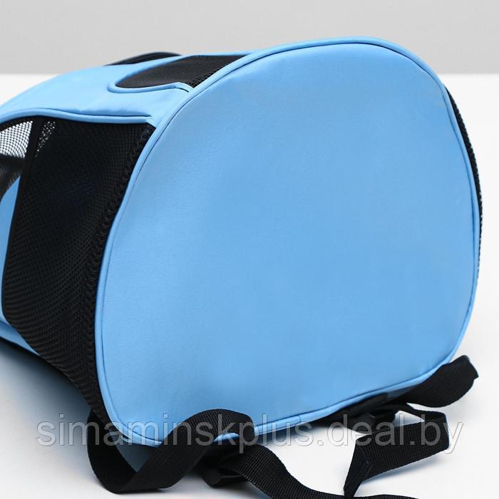 Рюкзак для переноски животных, 31,5 х 25 х 33 см, голубой - фото 4 - id-p220806294