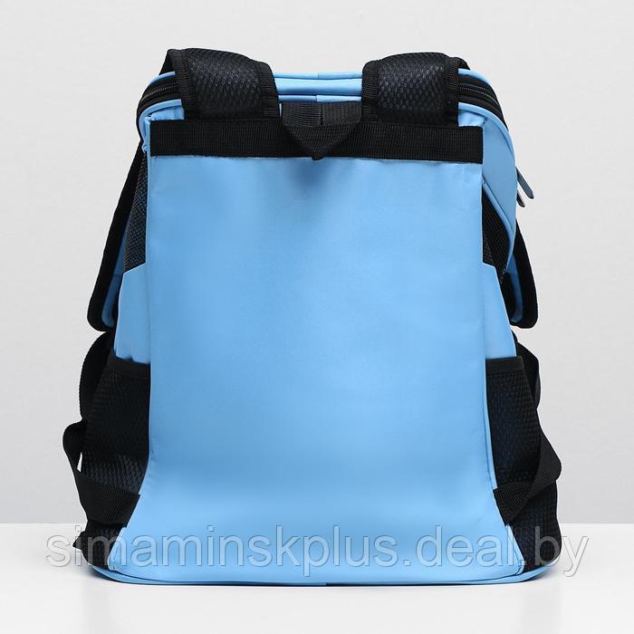 Рюкзак для переноски животных, 31,5 х 25 х 33 см, голубой - фото 7 - id-p220806294
