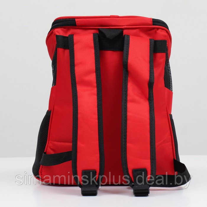 Рюкзак для переноски животных, 31,5 х 25 х 33 см, красный - фото 4 - id-p220806295