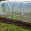 Пленка тепличная 150 мкм 6х35 м, многолетняя светостабилизированная, фото 6