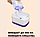Диспенсер для моющего средства и губки Soap Dispenser / Дозатор на кухню с губкой 2в1, фото 4