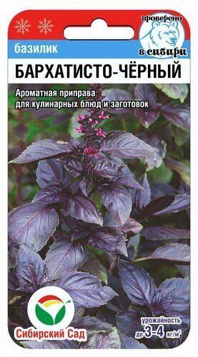 Базилик Бархатисто-черный - фото 1 - id-p220878470