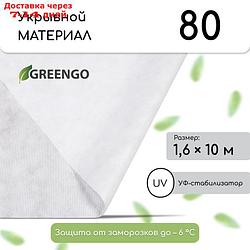 Материал укрывной, 1.6 × 10 м, плотность 80, белый, с УФ - стабилизатором, Greengo, Эконом 20%