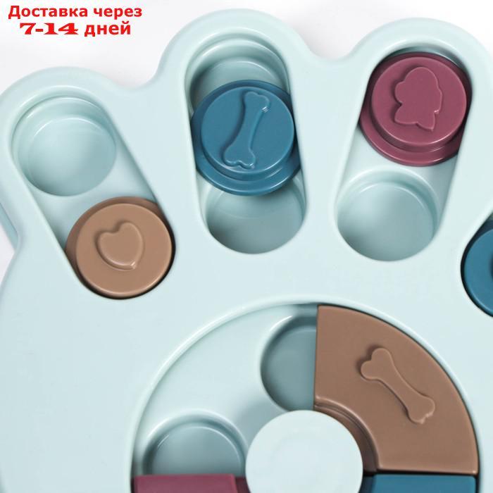 Игрушка интеллектуальная для лакомств "Лапа", 14 х 13,5 х 3 см, голубая - фото 3 - id-p220801640
