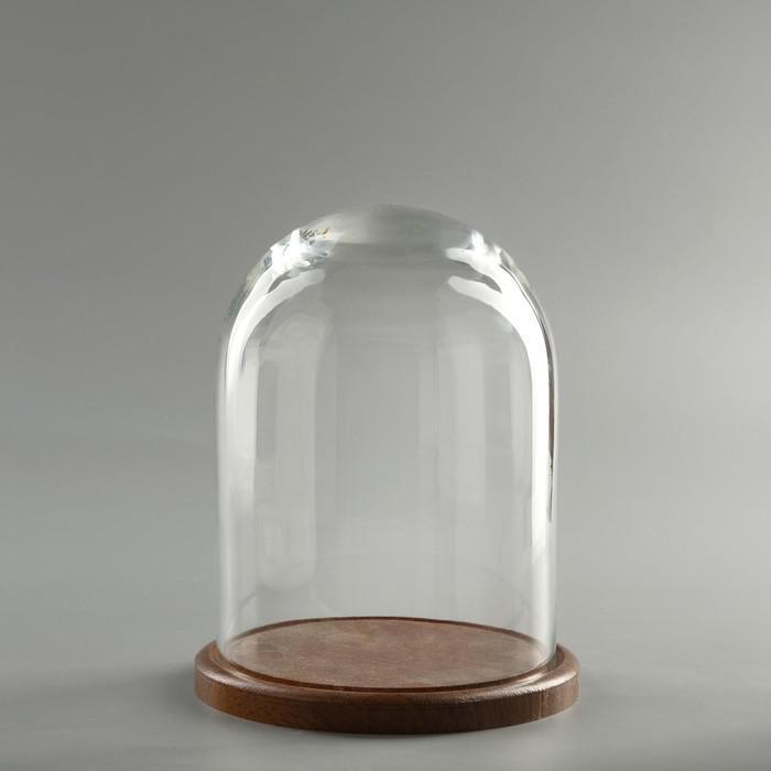 Стеклянный купол-клош на деревянной подставке "Венсан - 1", 20х15 см, коричневый - фото 3 - id-p220797277
