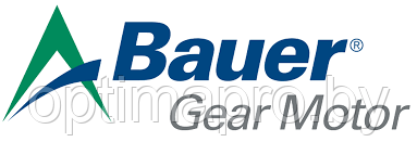 Мотор-редуктор BG04 Bauer Gear Motor - фото 2 - id-p220893531