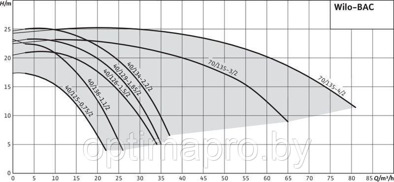 Насос Wilo BAC 70-135-3,0/2-DM/R-2 - фото 3 - id-p220907680