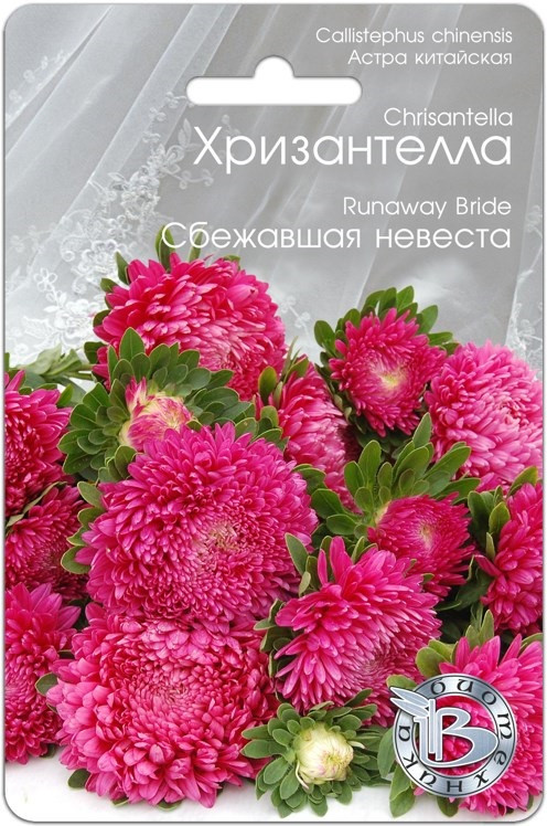 Астра китайская Хризантелла "Сбежавшая невеста", 30 шт. "Биотехника", РФ