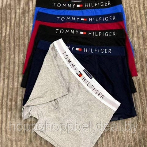 Мужское бельё Calvin Clein , TOMMY HILFIGER ( Акция на размеры 46-48) - фото 3 - id-p220909319