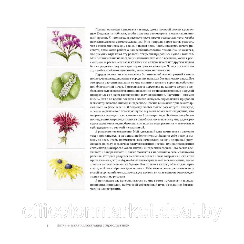Книга "Ботаническая иллюстрация с удовольствием. Пошаговое руководство по изображению цветов, листьев, плодов - фото 6 - id-p220909793