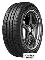 Летние шины Белшина Artmotion Бел-262 205/55R16 91H