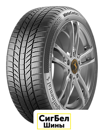 Зимние шины Continental WinterContact TS 870 P 215/60R17 96H