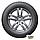 Зимние шины Hankook Winter i*Pike X W429A 255/55R18 109T XL, фото 4