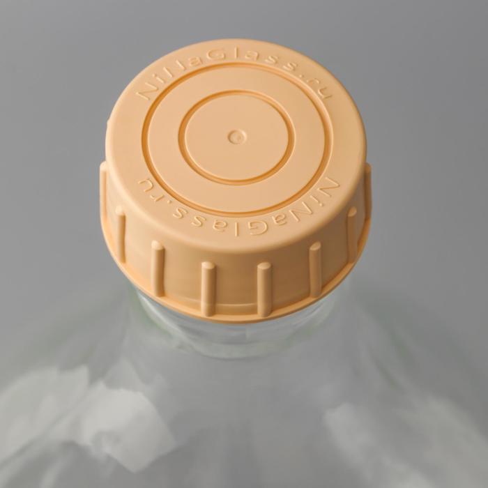 Бутыль стеклянная «Дамижана», 5 л, с крышкой - фото 2 - id-p220922829