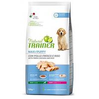 Trainer Natural Junior Maxi (Курица), 12 кг