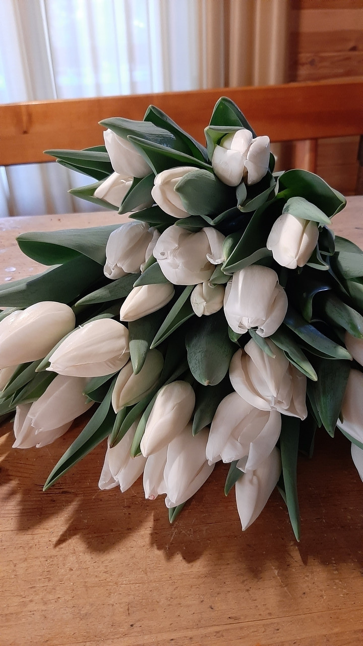Букеты тюльпанов - фото 7 - id-p74283396