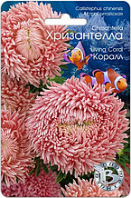 Астра китайская Хризантелла "Коралл", 30 шт.  "Биотехника", РФ