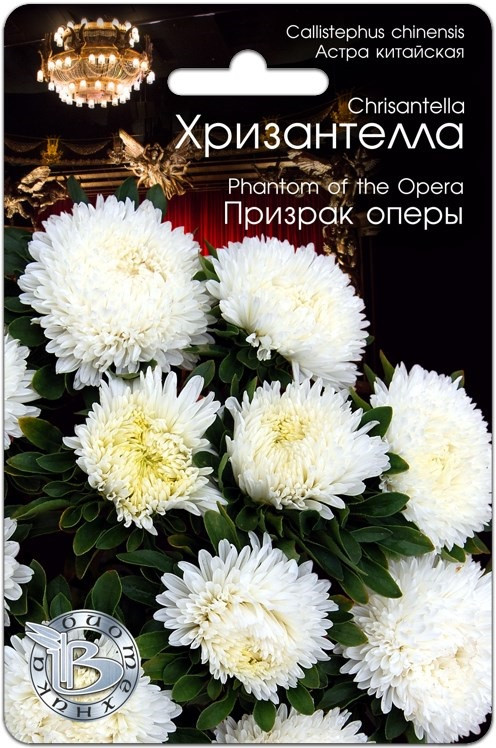 Астра китайская Хризантелла "Призрак оперы", 30 шт. "Биотехника", РФ