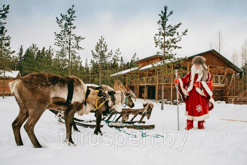 Новый год и Рождество в Карелии из МИНСКА 2023-2024 - фото 1 - id-p220946242