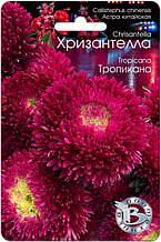 Астра китайская Хризантелла "Тропикана", 30 шт.  "Биотехника", РФ