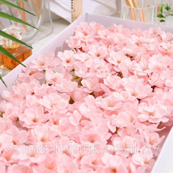 Цветы сакуры мыльные розовые, набор 50 шт - фото 2 - id-p220953875