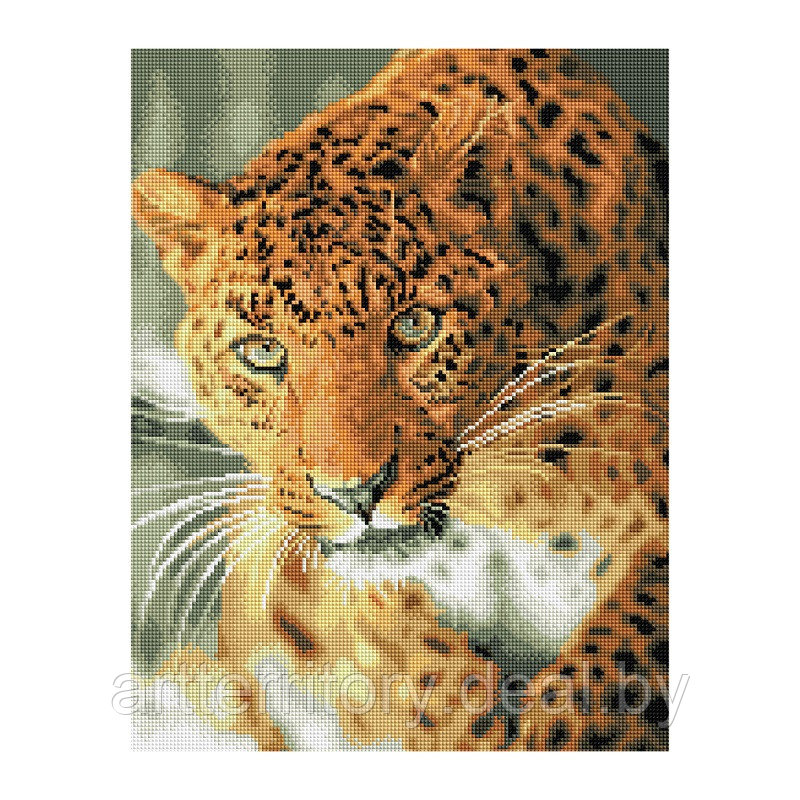 Картина по номерам стразами Три совы Леопард, 40х50 см, (на подрамнике) - фото 1 - id-p220952822