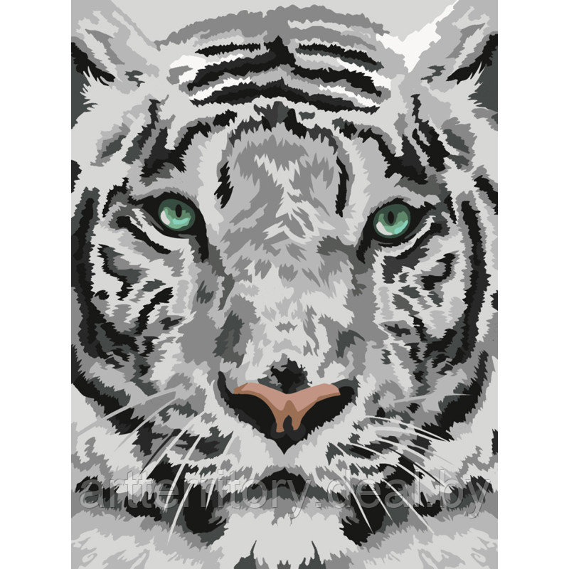 Картина по номерам красками Три совы Бенгальский тигр, 30х40 см, (на картоне) - фото 1 - id-p220952879