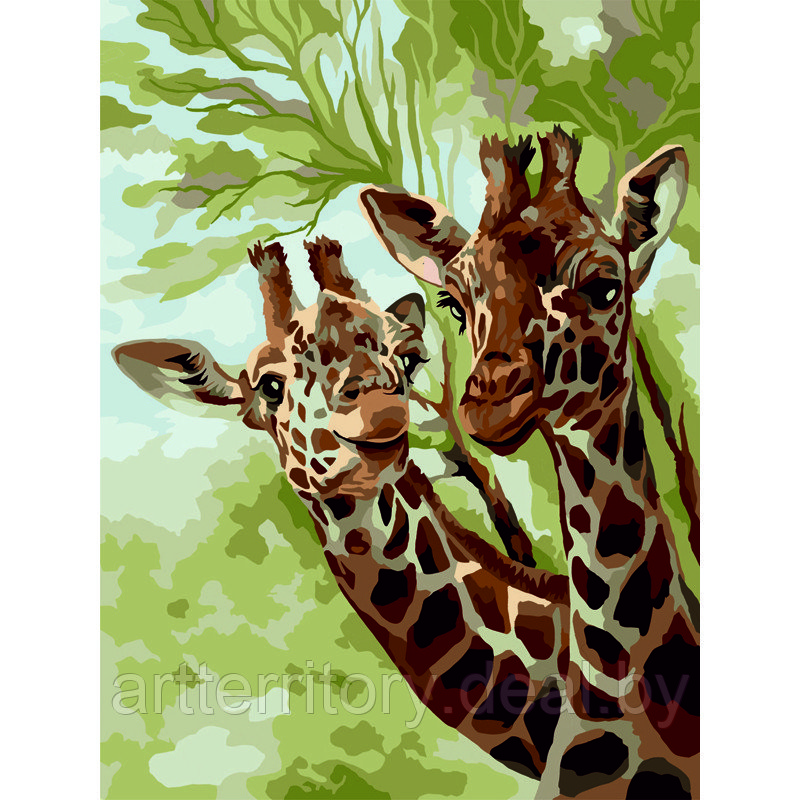 Картина по номерам красками Три совы Жирафы в саванне, 30х40 см, (на картоне) - фото 1 - id-p220952885