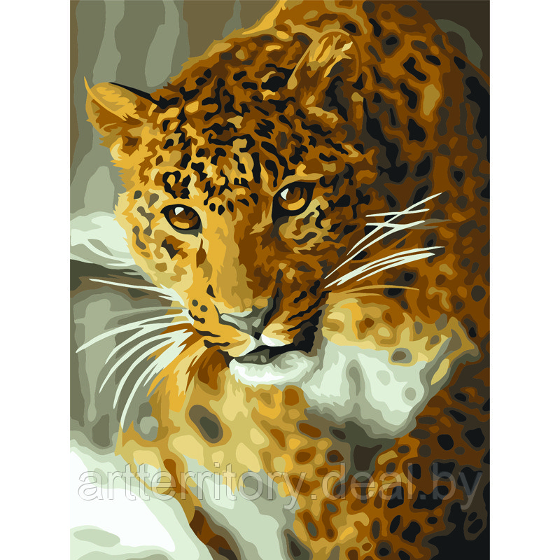 Картина по номерам красками Три совы Леопард, 30х40 см, (на картоне) - фото 1 - id-p220952890