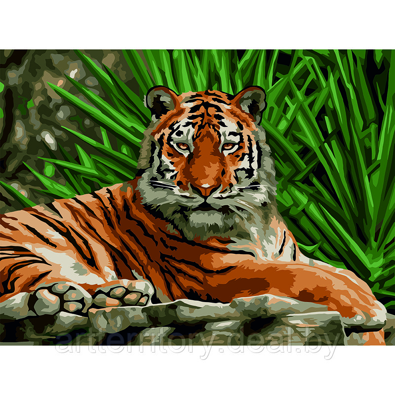 Картина по номерам красками Три совы Тигр, 30х40 см, (на картоне) - фото 1 - id-p220952907