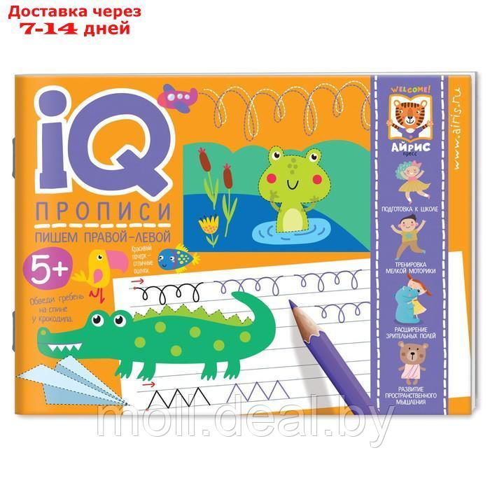 Посылка. Базовый комплект IQ-игр для развития внимания и мышления - фото 2 - id-p220923987