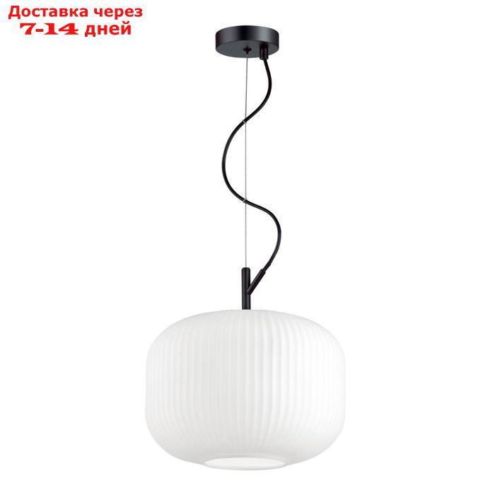 Светильник ROOFI, 1x60Вт E27, цвет чёрный, IP20 - фото 2 - id-p220933484