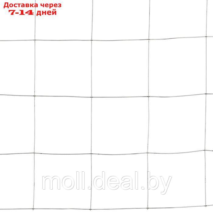 Сетка оцинкованная, сварная, 5 × 0,5 м, ячейка 25 × 25 мм, d = 0,7 мм, Greengo - фото 6 - id-p220929082