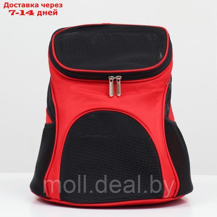 Рюкзак для переноски животных, 31,5 х 25 х 33 см, красный - фото 2 - id-p220924140