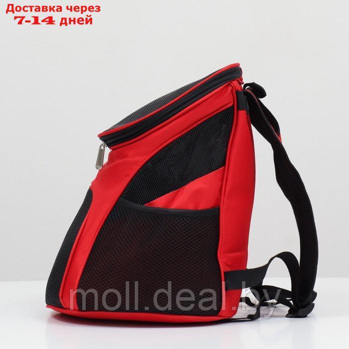 Рюкзак для переноски животных, 31,5 х 25 х 33 см, красный - фото 3 - id-p220924140