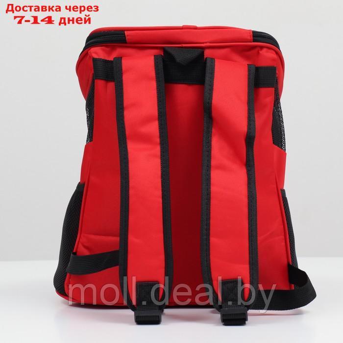 Рюкзак для переноски животных, 31,5 х 25 х 33 см, красный - фото 4 - id-p220924140