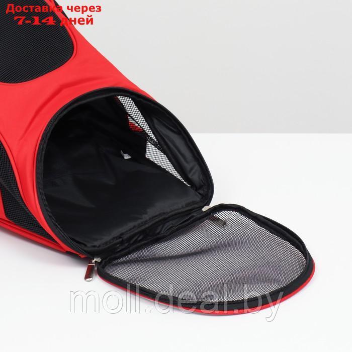 Рюкзак для переноски животных, 31,5 х 25 х 33 см, красный - фото 5 - id-p220924140