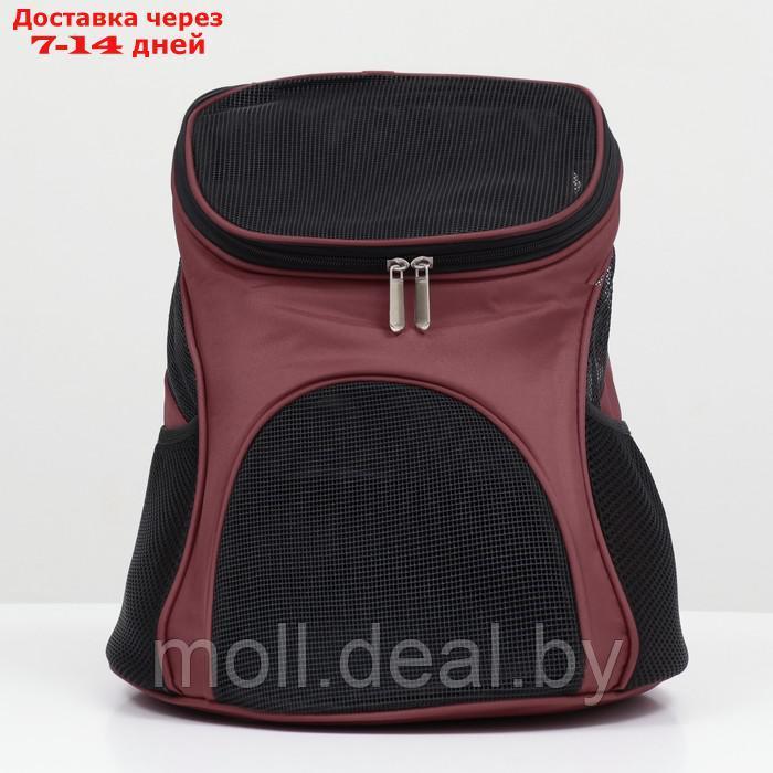 Рюкзак для переноски животных, 31,5 х 25 х 33 см, коричневый - фото 2 - id-p220924141