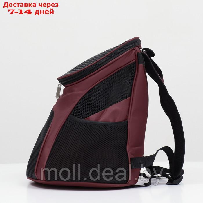 Рюкзак для переноски животных, 31,5 х 25 х 33 см, коричневый - фото 3 - id-p220924141