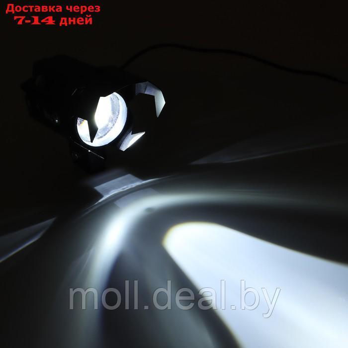 Фара cветодиодная для мототехники, 10 Вт, 350 Лм, дальность 120 м - фото 2 - id-p220926346